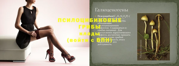 прущие грибы Кукмор