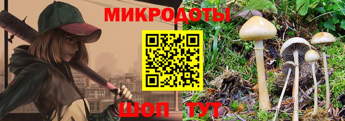 Галлюциногенные грибы прущие грибы  Альметьевск 