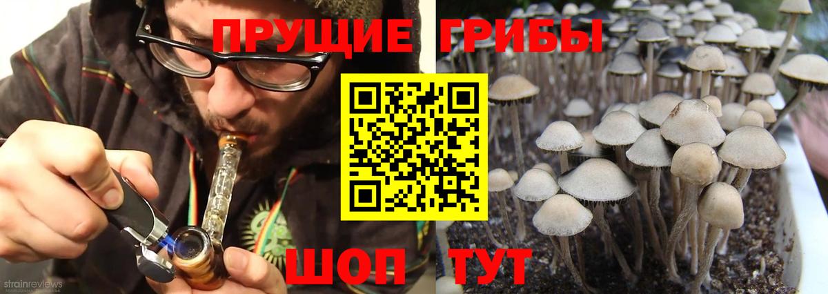 Галлюциногенные грибы MAGIC MUSHROOMS Альметьевск