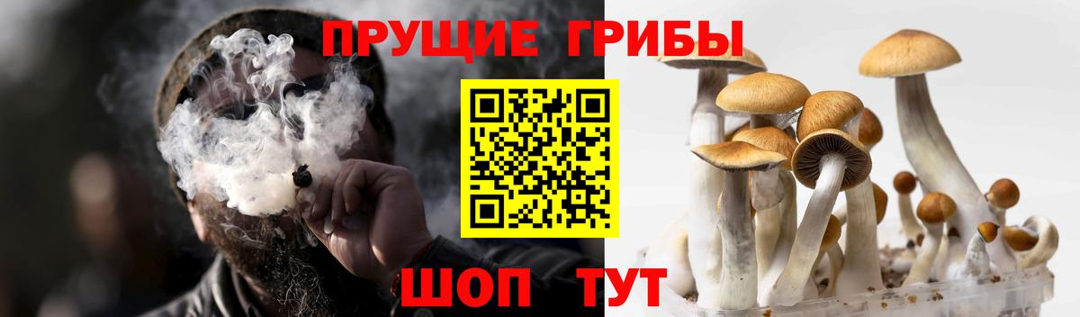 Альметьевск  Галлюциногенные грибы MAGIC MUSHROOMS  Вход с VPN 