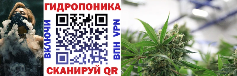 Бошки марихуана гибрид  дарнет шоп  Альметьевск 